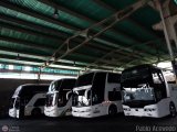 Garajes Paradas y Terminales San-Cristobal, por Pablo Acevedo
