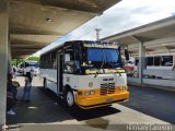 Coop. de Transporte La Candelaria 20, por Hernani Caneln 