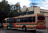 Expresos Pegamar 0020