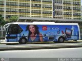 Particular sika-SN-001