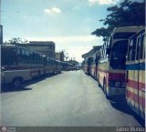 Expresos Occidente EOCA-20