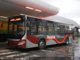 Bus CCS 1267, por Alfredo Montes de Oca