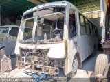 A.C. Transporte Paez 050, por Yenderson Fernndez C.