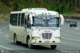 A.C. de Transporte Amigos de C�a 31 por Pablo Acevedo
