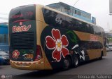Transporte Flores Hermanos S.R.L (Per) 956