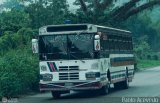 Expresos Nirgua 0011
