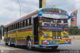 Transporte Palo Negro La Morita 2 085