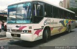Ceminibuses