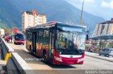 Trolmerida - Tromerca M22-03, por Andrs Figuera