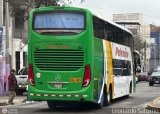 Expreso Internacional Palomino 786, por Leonardo Saturno