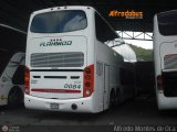 Expresos Flamingo 0084, por Alfredo Montes de Oca