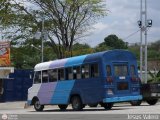 MI - U.C. Sta. Barbara de la Tortuga 35