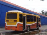 CA - Asociaci�n de Transporte Palmival 98 por Luis Fern�ndez