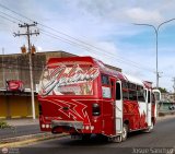 A.C. Bus Palmar R.L. 001, por Josue Snchez