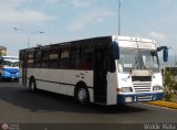 Unin Conductores Ayacucho 1033, por Waldir Mata