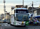 Expreso Internacional Palomino 7054