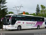 Empresa Profesionales del Transporte 6050, por Joseba Mendoza