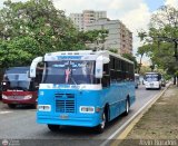 A.C. Lnea Paez (Acarigua - San Rafael) 22, por Alvin Rondn