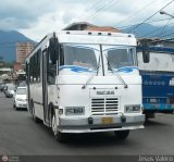 A.C. de Transporte Encarnaci�n 173