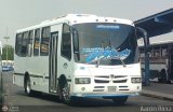 L�nea Altagracia 30 por Aaron Riera