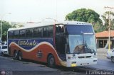 Expresos Occidente 177