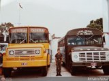 Universitarios y Escolares 5