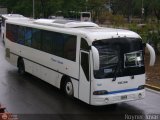 Expresos Marvalca 20, por Royner Tovar