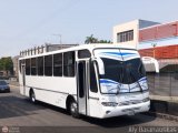 Cooperativa Canaima 33