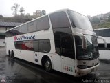 Expresos Occidente 277
