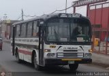 Consorcio Rosa de las Amricas (Per) 740, por Leonardo Saturno