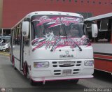 AR - Rosa Mstica de Cagua C.A. 37, por Andrs Ascanio