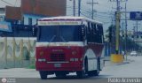 Coop. de Transporte La Candelaria 37