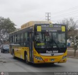 E. de S. Mltiples Fnix 2000 S.A.C. (Per) 215