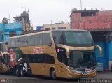 Transporte Flores Hermanos S.R.L (Per) 956