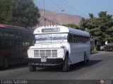 Transporte Colectivo Palo Negro 080, por Carlos Salcedo