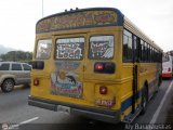 CA - Cooperativa Maongo 40, por Aly Baranauskas