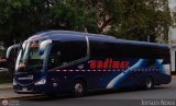 Buses Nueva Andimar VIP 701, por Jerson Nova