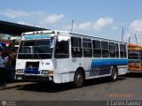 Transporte Bonanza 0041