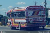 Autobuses de Tinaquillo 02