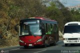 U.C. Caracas - Los Caracas 333, por Pablo Acevedo