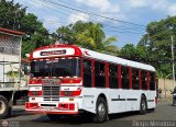Transporte Palo Negro La Morita 2 047, por Diego Mendoza