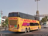 Transportes Molina Per S.A.C.