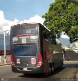 Cocodrilos de Caracas BBC 01, por Alvin Rondn