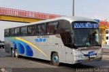 E.T. Maleo VIP (Per) 952