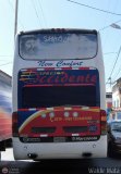 Expresos Occidente 365