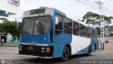 Particular 999, por Leonardo Saturno