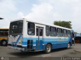Transporte Ejecutivo Vasquez Rodriguez 06 Marcopolo Torino GV Mercedes-Benz OH-1420