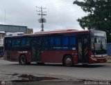 TransApure 84, por Antonio Mittilo