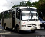 A.C. de Transporte N�mero Uno R.L. 048