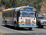 Transporte El Esfuerzo 03, por Pablo Acevedo